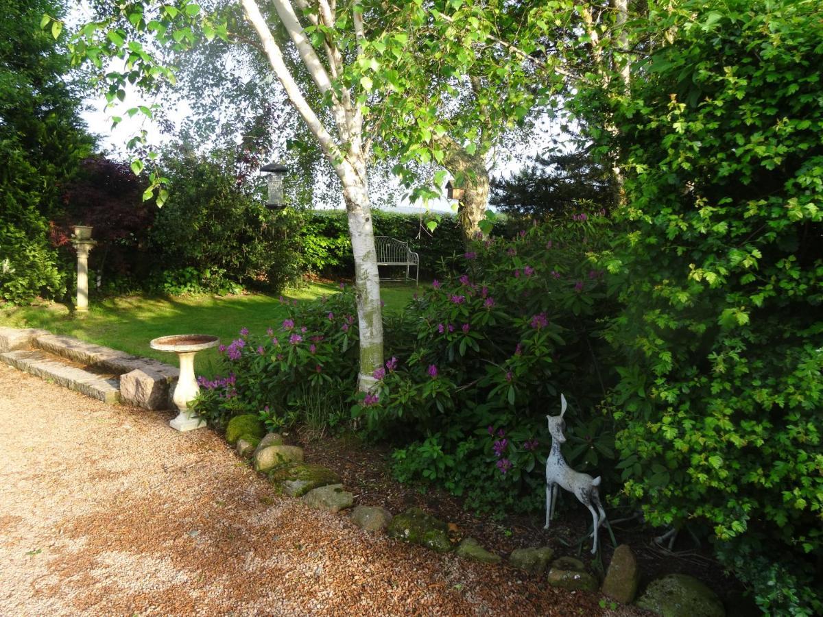 Cleriach Cottage Milton of Auchinhove Dış mekan fotoğraf